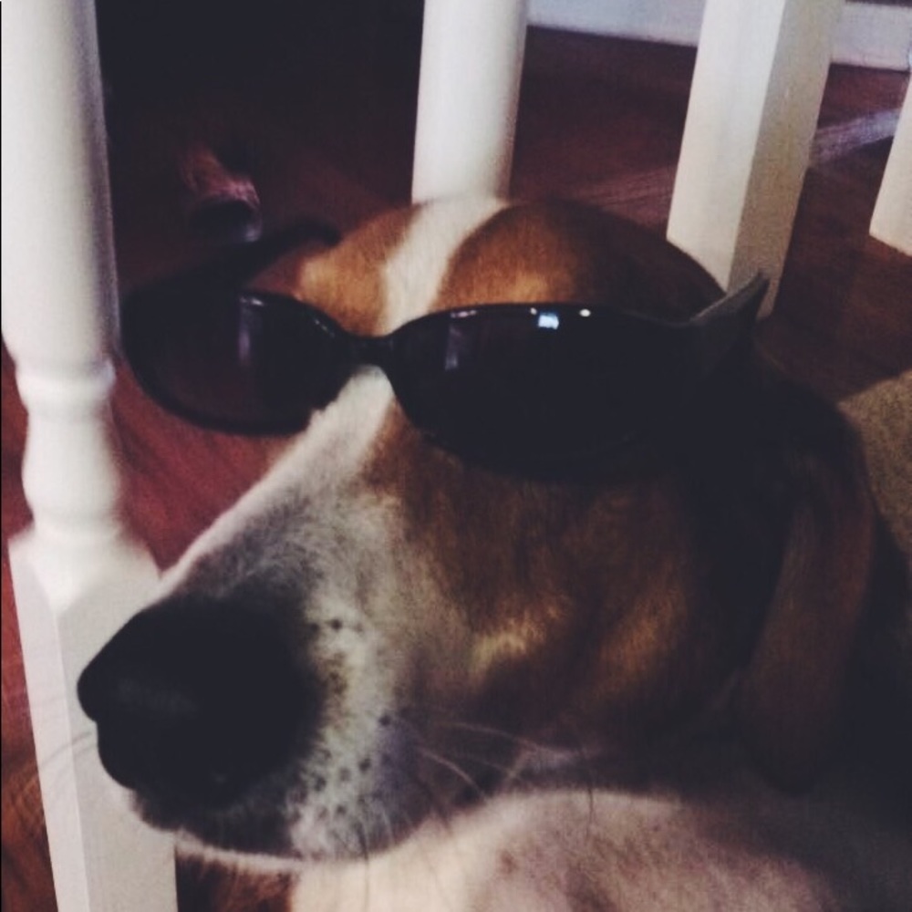 Meet your Posher, Lexi